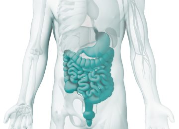 La gastroenterología se ocupa de las enfermedades del aparato digestivo