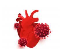¿Cómo afecta la COVID-19 al corazón?