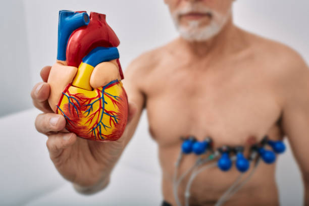 Frecuencia cardíaca, ¿cuántas pulsaciones son lo normal?