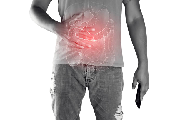 Causas de la gastroenteritis