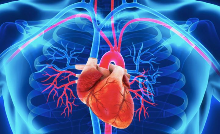 ¿Qué es cardiotoxicidad?
